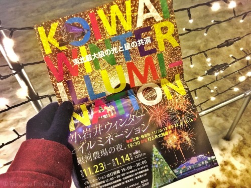 koiwai-illumination4